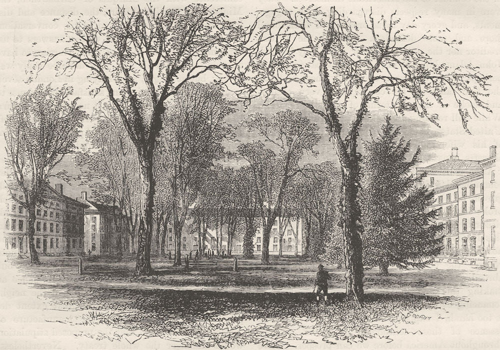 MASSACHUSETTS. Quad, Harvard College, Cambridge c1880 old antique print